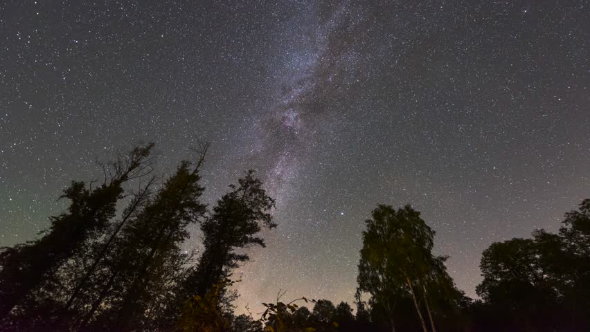 Milky Way Time-Lapse Moving Across the Night Sky Above Forest Trees