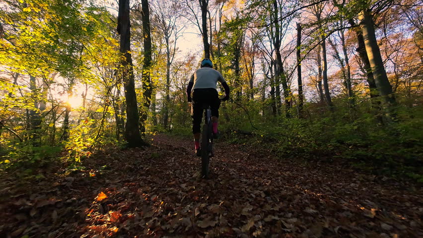 Mountain Biker Riding Through a Beautiful Autumn Forest Trail on a Sunny Day