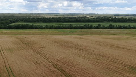 Smooth Drone Flight over Open Fields Forests