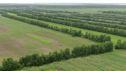 Aerial Drone Flight Over Green Fields and Orchards