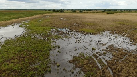 Aerial Drone Flight Over Marshy Fields on Cloudy Day