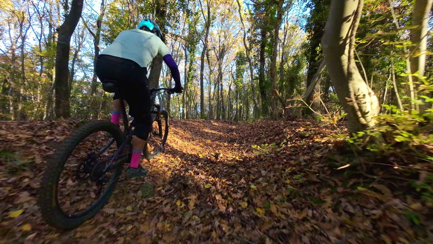 Mountain Biker Riding Through a Beautiful Autumn Forest on a Challenging Dirt Trail