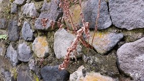 Retaining wall made of random arrangement of natural stone in brownish gray color. - Powered by Shutterstock - Get 15% off with code: PIKWIZARD15
