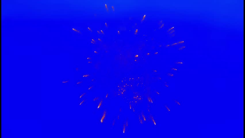 Golden fireworks explosion bursting outward in circular pattern against deep blue background. 