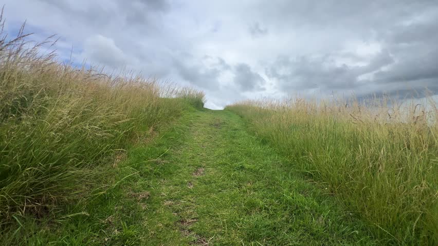 Looking up a wild path to go through uphill on a green grass meadow hill under cloudy skies.