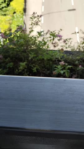 blue sky, clouds and road 