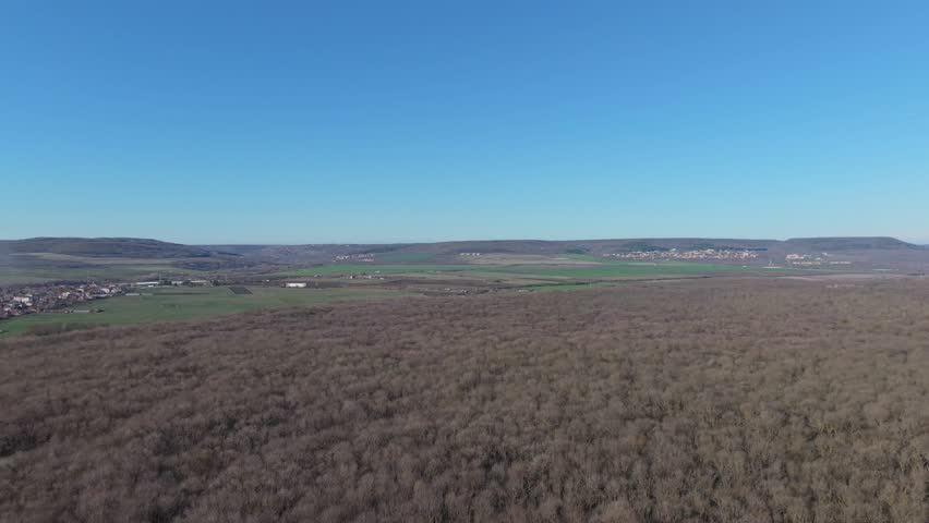 Wide aerial view of rural landscape with fields and forest under clear blue sky, calm countryside scenery, natural horizon, peaceful daylight.