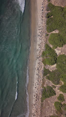 Top down drone view of California Beach, static shot. Background 4k video of ocean, beach and rocks. Vertical video.