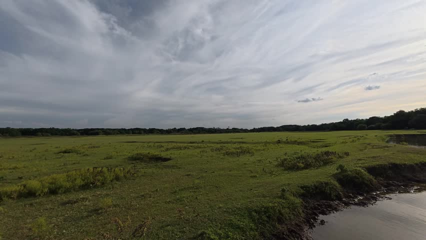 A smooth camera pan from right to left revealing an open grassland and wetland landscape under a wide blue sky with soft clouds. Calm natural scenery suitable for environmental, travel, and relaxation background use.