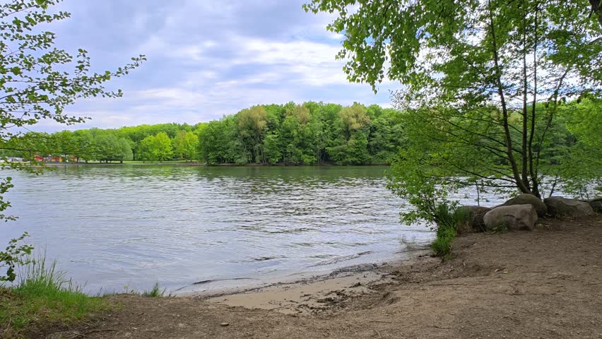 Alders and willows grow on the grassy shores of the lake. There is a boulder near the sandy beach. There is a park with trees and attractions on the far shore. Ripples on the water. Cloudy spring