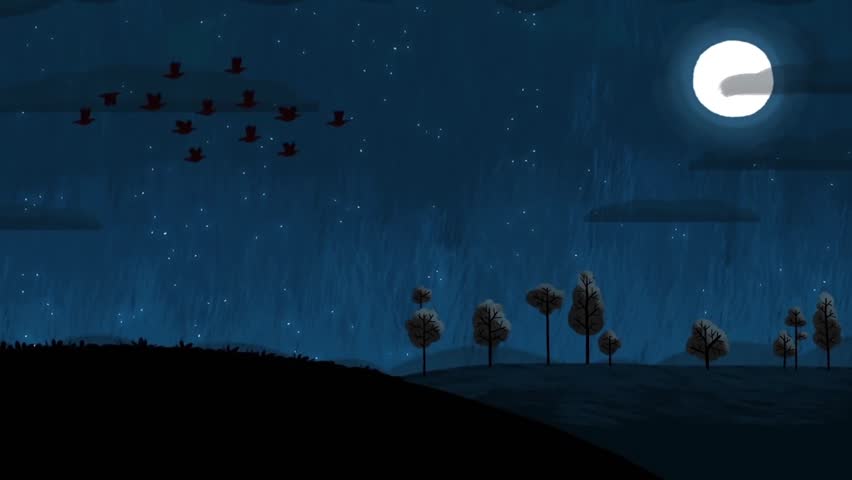 Night Landscape With Moon and Birds