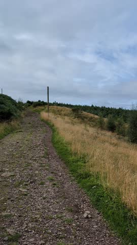 Rolling grassy hills under a cloudy summer sky in a rural countryside landscape, with a footpath leading through wild vegetation toward distant green ridges.