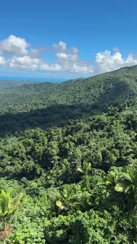 Tropical rainforest hills Puerto Rico. Lush tropical rainforest hills with dense green vegetation and distant ocean horizon.