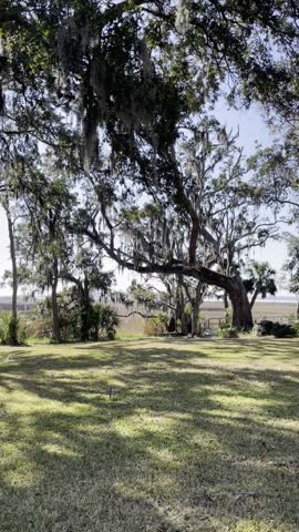 Beautiful sunny day overlooking South Carolina marsh with old oak trees, Spanish moss, and long wooden dock