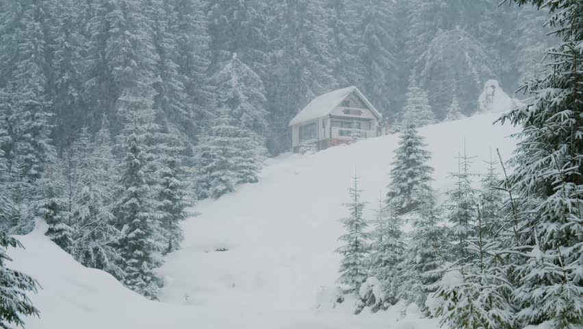 Footage of a small, isolated wooden cabin nestled on a snow-covered slope amidst a dense pine forest during a heavy snowfall. The scene captures the serene and majestic winter landscape of Synevyr Nat