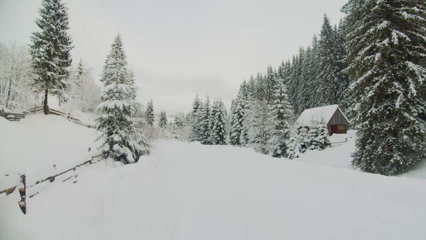 A serene winter landscape unfolds in the Torun Pass, Carpathians, Ukraine, featuring a snow-blanketed forest of pine trees and a small, rustic wooden cabin nestled on a snowy slope.