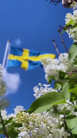 Flag of Sweden waving in the wind against blue sky. Footage for Sweden national holiday June 6th.
