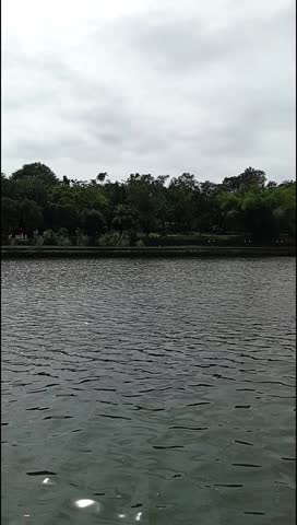 Calm Lake Ripples and Tree-Lined Shore under Overcast Sky — Vertical Nature Footage
