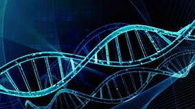 This video features a detailed animation of DNA double helix structures in blue hues on a dark background. The animation showcases the intricate details of the DNA molecule, highlighting its double helix structure and the nucleotides that make up the genetic code. The video is ideal for educational and research purposes, providing a visually engaging representation of genetic material. - Powered by Shutterstock - Get 15% off with code: PIKWIZARD15