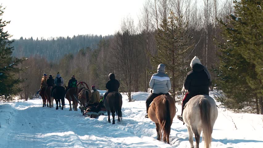 winter village with horses sleigh rides hay