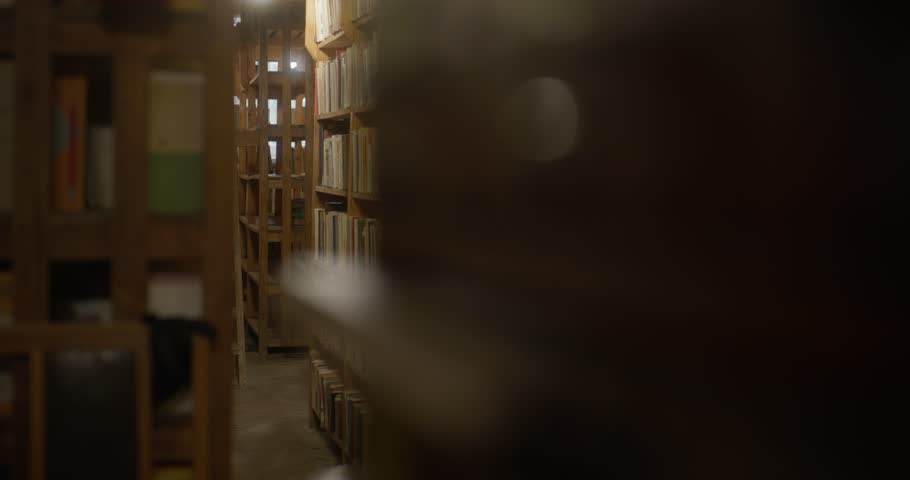 Cinematic static long shot of a girl walking through a library aisle, filmed from behind and through nearby bookshelves. She holds a book in her hands while glancing at other books on the shelves as she passes by. Old pastel-colored books and warm lighting create a cozy, mysterious atmosphere. Calm lifestyle, reading, and education concept