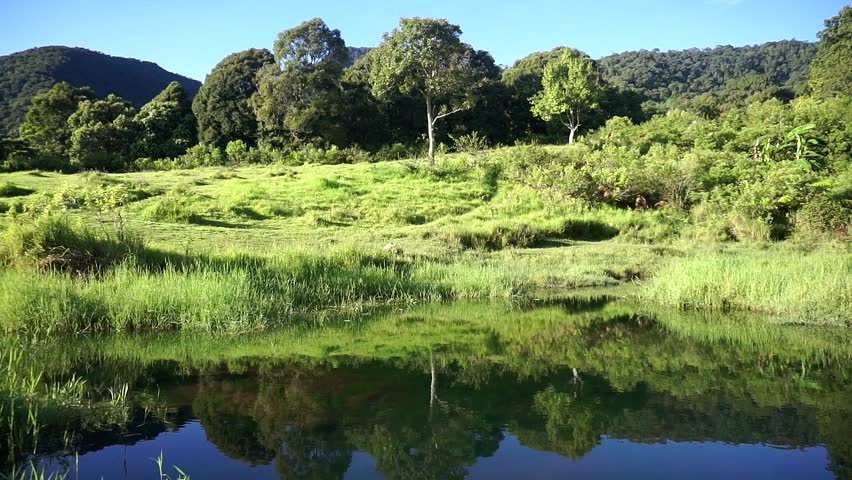 Green natural landscape with trees and hills reflected on calm water surface.