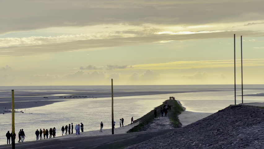 Crowd watching seals on Authie Bay at low tide near Berck, France, people on rocky groyne above tidal flats and shimmering channel under dramatic sunset sky