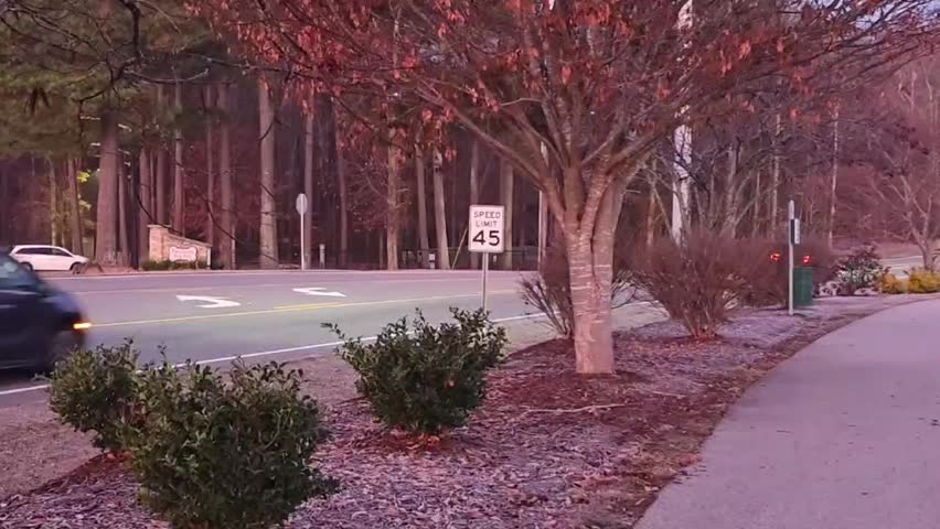 
Suburban Road Near Public Park with Trees and Traffic
Suburban road running alongside a public park with trees and light car traffic in the background. Outdoor landscape with natural surroundings and quiet neighborhood atmosphere.