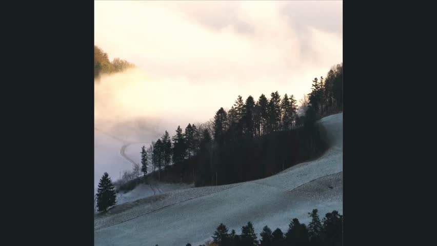 "Mist covers the peaceful winter forest."