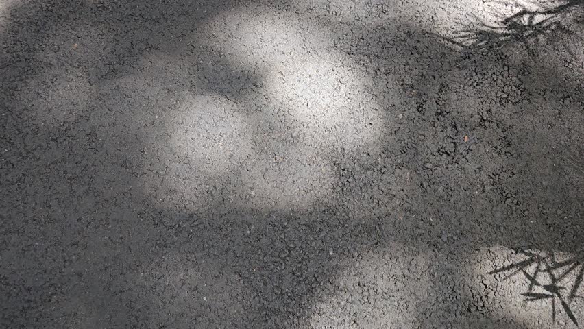 Beautiful tree leaves shape gentle sunlight, shadows glowing on concrete rock cement ground texture in the afternoon background—dappled light flickering in calm relaxing atmosphere, peace zen mind feelings