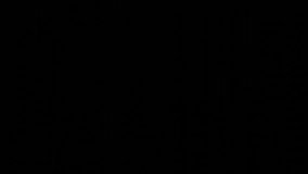 3D Animation of Server Security - Powered by Shutterstock - Get 15% off with code: PIKWIZARD15