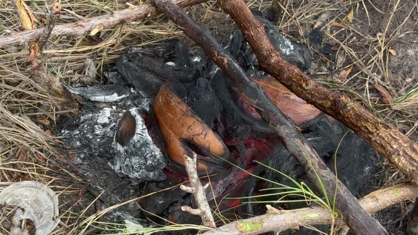 Glowing embers and charred wood smolder amidst dry grass and twigs on a forest floor, depicting the remnants of a small fire in a natural outdoor environment.