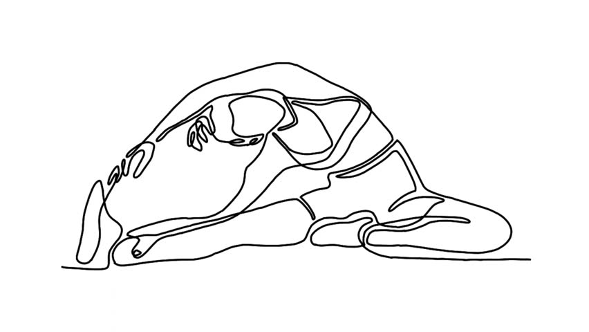 Continue line animation of woman doing morning workout