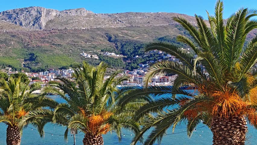 Sunlit Mediterranean palms gently sway above a calm Adriatic bay, revealing a coastal town nestled at the base of rugged mountains under clear blue winter light.