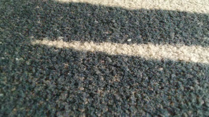 Closeup of a textured surface (carpet) with a distinct white stripe creating a visually interesting pattern and contrast.