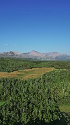 Aerial view of lush green forest and rugged mountains under a clear blue sky, a scenic landscape, Twin Butte, Alberta, Canada.