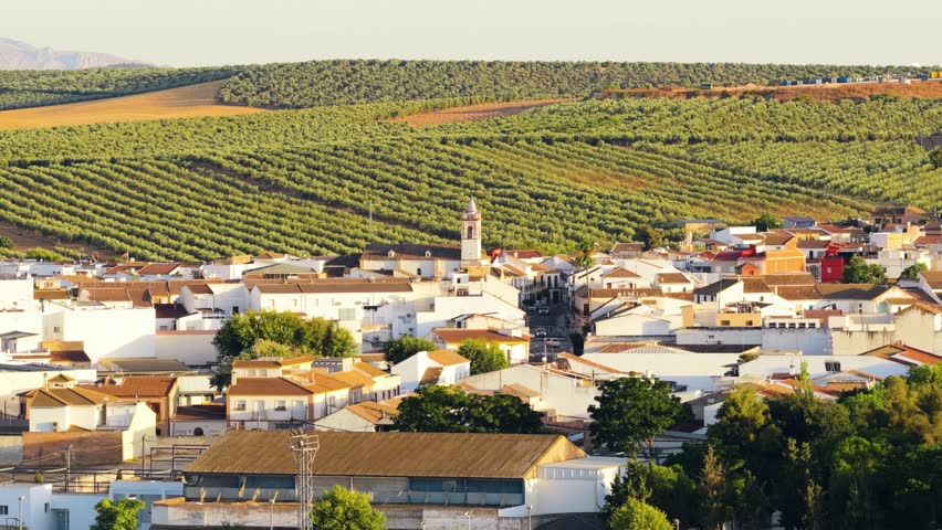 Aerial view of a traditional white village La Roda de Andalucia, Spain. The town is nestled amongst rolling hills covered in extensive olive groves