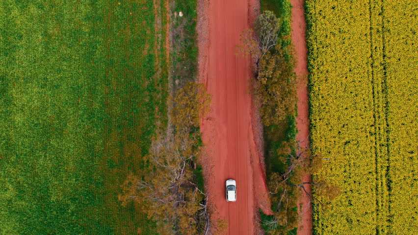 Aerial view of a car moves along a red dirt road lined with green grass and yellow flowers under clear blue sky