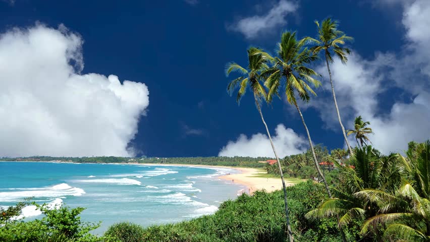 Tropical beach and palm trees, The Maldives, Indian Ocean, Asia

villa, bungalow, seascape, water, coast, resort, palm trees, recreation, coconut, lagoon, asian, indian, luxury, outdoor, relax, hotel, travel, beach, blue, tropical, asia, vacation, sea, maldives, sunny, landscape, nature, exotic, summer, sun, holiday, turquoise, tourism, destination, paradise, ocean, sand, tree, island, sky, beautiful, palm, indian ocean, green, maldivian, background