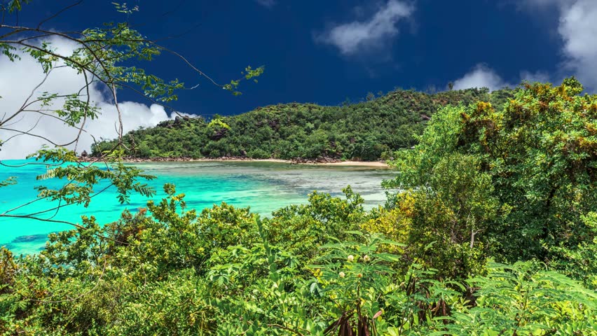 Lush Tropical Bay with Turquoise Waters and Dense Jungle


This video captures a high-angle, scenic view of a pristine tropical coastline. It features vibrant turquoise waters clashing gently against a white-sand shore, backed by a dense, emerald-green forest canopy. The clear blue sky with light wispy clouds creates an ideal "vacation paradise" atmosphere.

clouds, mountain, maldives, indonesia, idyllic, forest, rock, clear, thailand, scenery, environment, scenic, exotic, beauty, lagoon, green, beautiful, relax, famous, landscape, travel, beach, blue, nature, vacation, seascape, summer, sea, island, sky, ocean, holiday, tourism, tropical, asia, turquoise, coast, water, coastline, bay, shore, destination, background, paradise, seaside, sand, outdoor, natural, view