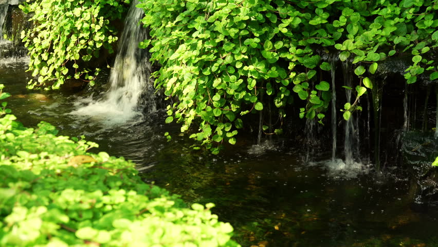 Close up view of a small waterfall flowing into a garden pond in a front yard. Home landscaping design with natural stone, green plants, and water feature creating a relaxing and peaceful outdoor atmosphere.