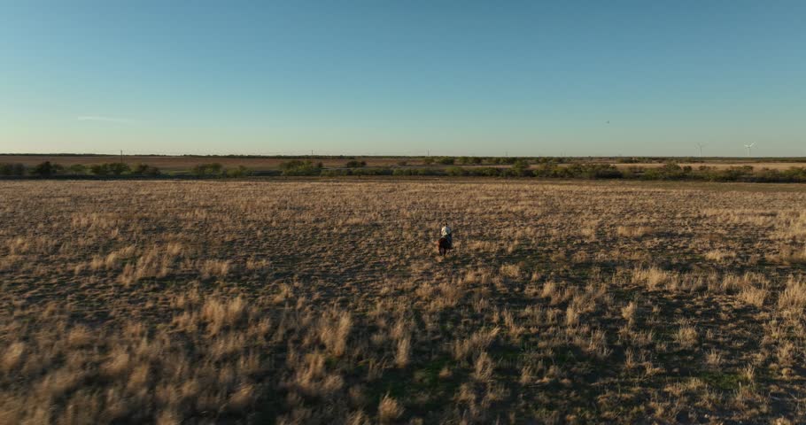 Man Wearing Cowboy Hat Riding Running Horse Through Grassy Field in Rural Countryside at Sunset