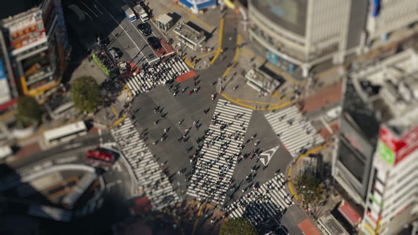 Crowd crossing intersection at shibuya scramble crossing tokyo