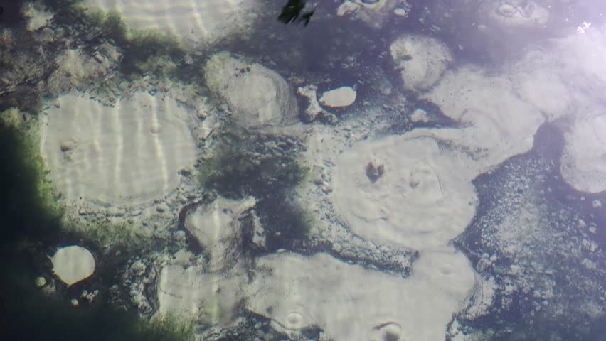 Natural spring where the water bubbles up from underground.