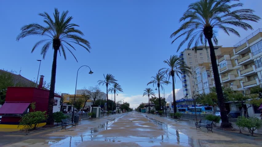 Long avenue of tall palms and puddles under a clear blue sky, lone pedestrian walking through a freshly washed seafront promenade