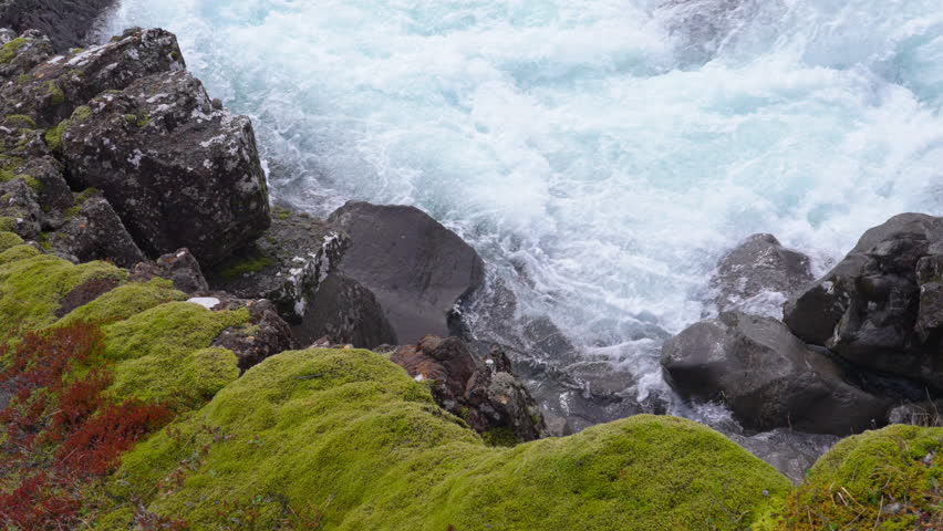 Mossy rocks by rapid river in Thingvellir with pure mountain water