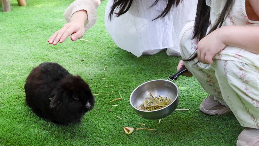 A young girl offers food to a black rabbit while her mother gently pets it