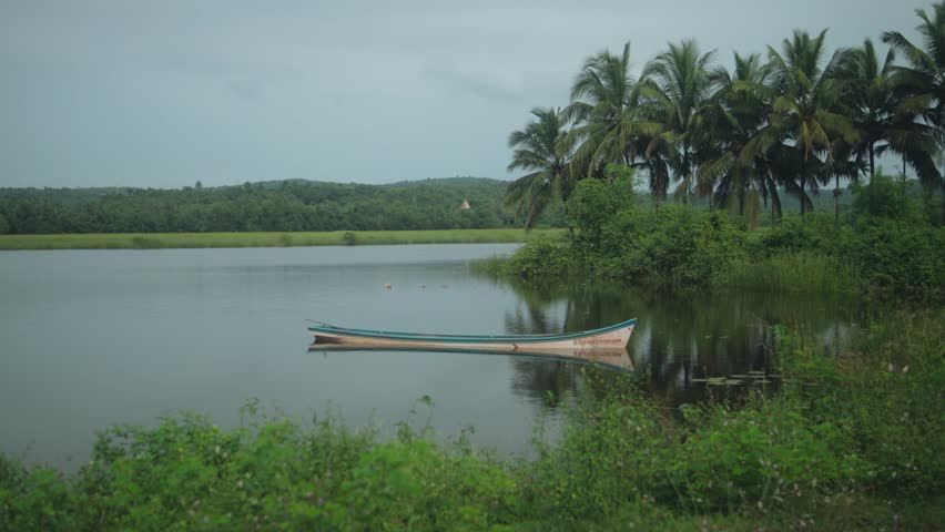Serene lake view with a canoe and lush palm trees by the shore