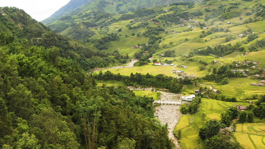 Muong Hoa Valley Rice Fields with River in Sa Pa Vietnam