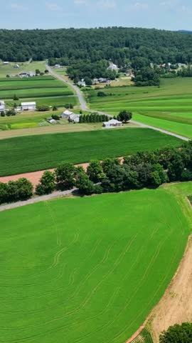
An aerial view over the lush green farmland in southern Lancaster County, Pennsylvania on a sunny summer day 4k